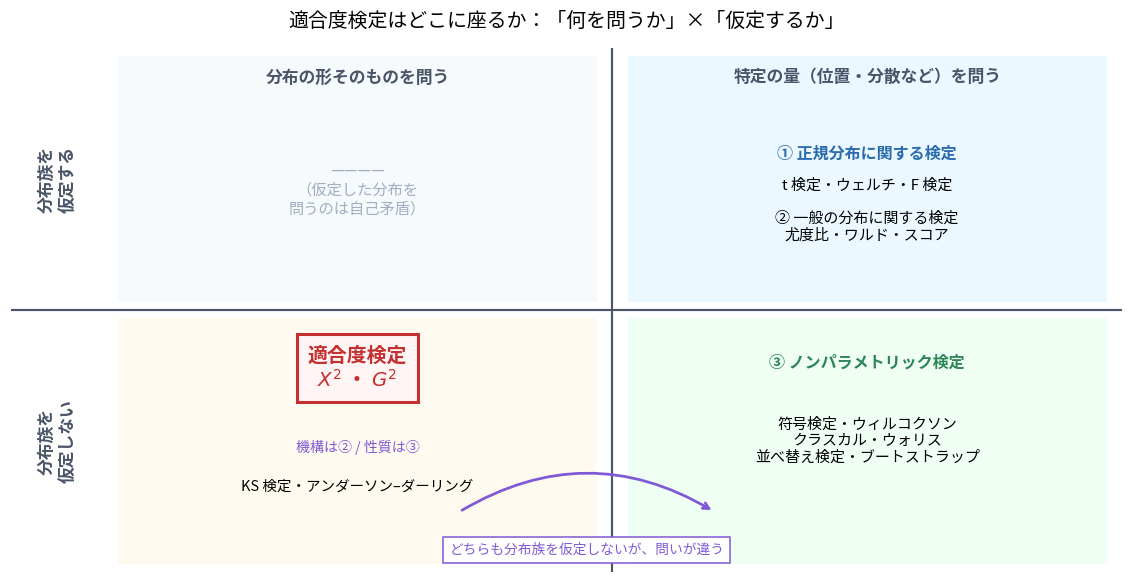 適合度検定の位置を2軸で示した図。縦軸は分布族を仮定するかしないか、横軸は分布の形そのものを問うか特定の量を問うか。右上は分布族を仮定して特定の量を問う領域で、①正規分布に関する検定のt検定・ウェルチ・F検定と、②一般の分布に関する検定の尤度比・ワルド・スコアが入る。左上は仮定した分布を問うのは自己矛盾なので空欄。左下は分布族を仮定せず分布の形を問う領域で、適合度検定のX²とG²が入り、機構は②で性質は③と注記され、KS検定やアンダーソン・ダーリング検定も同じ枠にある。右下は分布族を仮定せず特定の量を問う領域で、③ノンパラメトリック検定の符号検定・ウィルコクソン・クラスカルウォリス・並べ替え検定・ブートストラップが入る。左下と右下はどちらも分布族を仮定しないが問いが違う