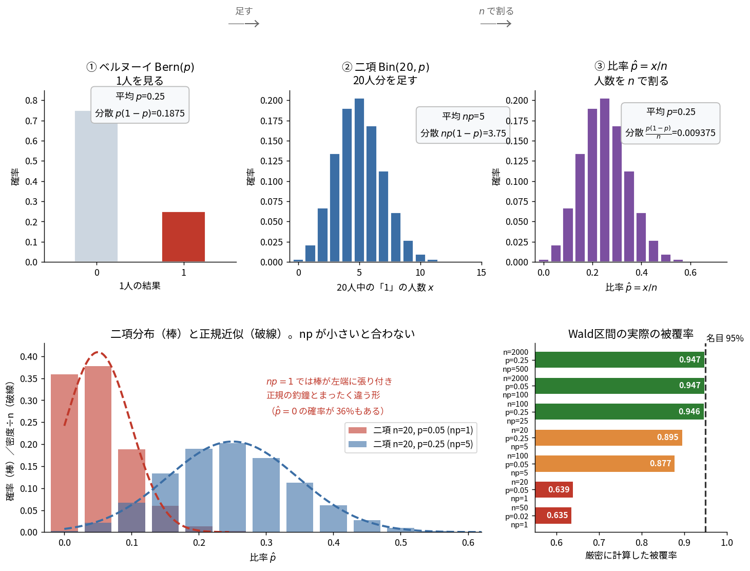 上段に3つのグラフが並ぶ。左はベルヌーイ分布で0と1の2本の棒、中央は二項分布Bin(20, 0.25)の人数の分布、右は同じものを20で割った比率の分布で、棒の高さの並びが中央と完全に同一。横軸の目盛だけが人数から割合に変わっている。下段左は二項分布と正規近似の重ね描きで、np=5の青い棒は釣鐘に近いがnp=1の赤い棒は左端に張り付いて釣鐘とまったく違う形。下段右は名目95%の区間の実際の被覆率を棒グラフで示し、np=1のケースが0.635まで落ち込んでいる