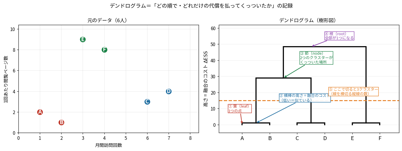 左は6人の散布図、右はそのデンドログラムで葉・横棒の高さ・節・根・切断線の5つの部品に注釈をつけたもの