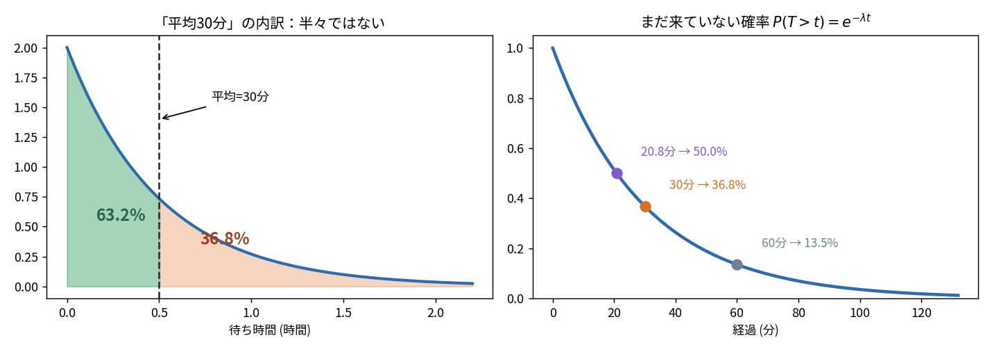 左は指数分布の密度を平均30分の位置で塗り分けた図で、手前が63.2%・奥が36.8%と半々にならないことを示す。右は「まだ来ていない確率」の曲線に20.8分で50.0%、30分で36.8%、60分で13.5%の3点をプロットした図