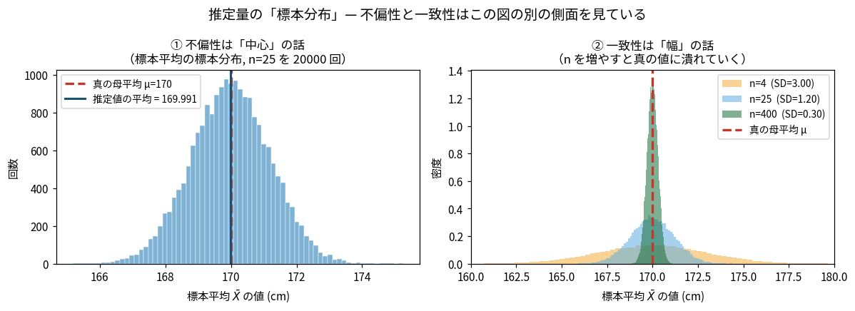推定量の標本分布を示した図。母集団から標本を繰り返し取り直すと標本平均は毎回違う値になり、その値を集めるとひとつの分布ができることを示している。不偏性はこの分布の中心が真の値に一致することで、一致性はnを増やすとこの分布の幅が縮むことに対応する