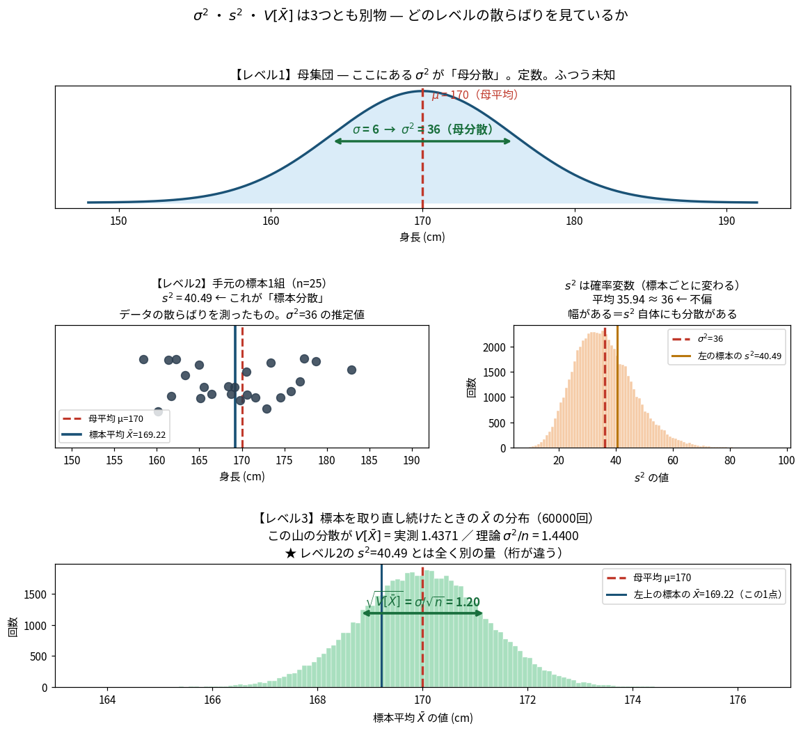 母分散、標本分散、標本平均の分散を3段で対比した図。レベル1は母集団の分散36という定数、レベル2は手元の標本1組から計算した標本分散40.49という確率変数、レベル3は標本平均を取り直したときの分布の分散1.44を示している。3つは桁が違う別の量である