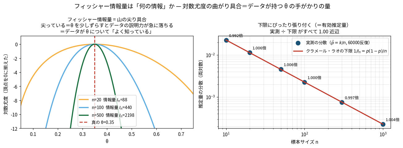フィッシャー情報量が対数尤度の曲がり具合であることを示した図。左はnを変えたときの対数尤度曲線で、nが大きいほど山が尖っていて情報量が大きい。右は推定量の分散がクラメール・ラオの下限にぴったり張り付いていることを両対数グラフで示している