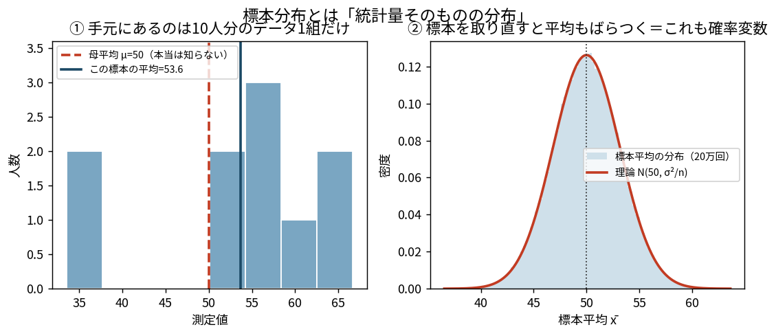 母集団の正規分布から10個の標本を繰り返し取り出す様子と、その標本平均を集めたヒストグラムを並べた図。標本ごとに平均の位置が動き、集めた平均は母平均を中心に母集団より狭い分布になる