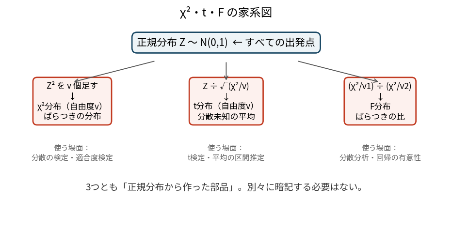 正規分布を頂点に、2乗和からχ²分布、正規÷√(χ²/ν)からt分布、χ²の比からF分布が作られる関係を矢印で示した家系図。t²=F(1,ν)の関係も示されている