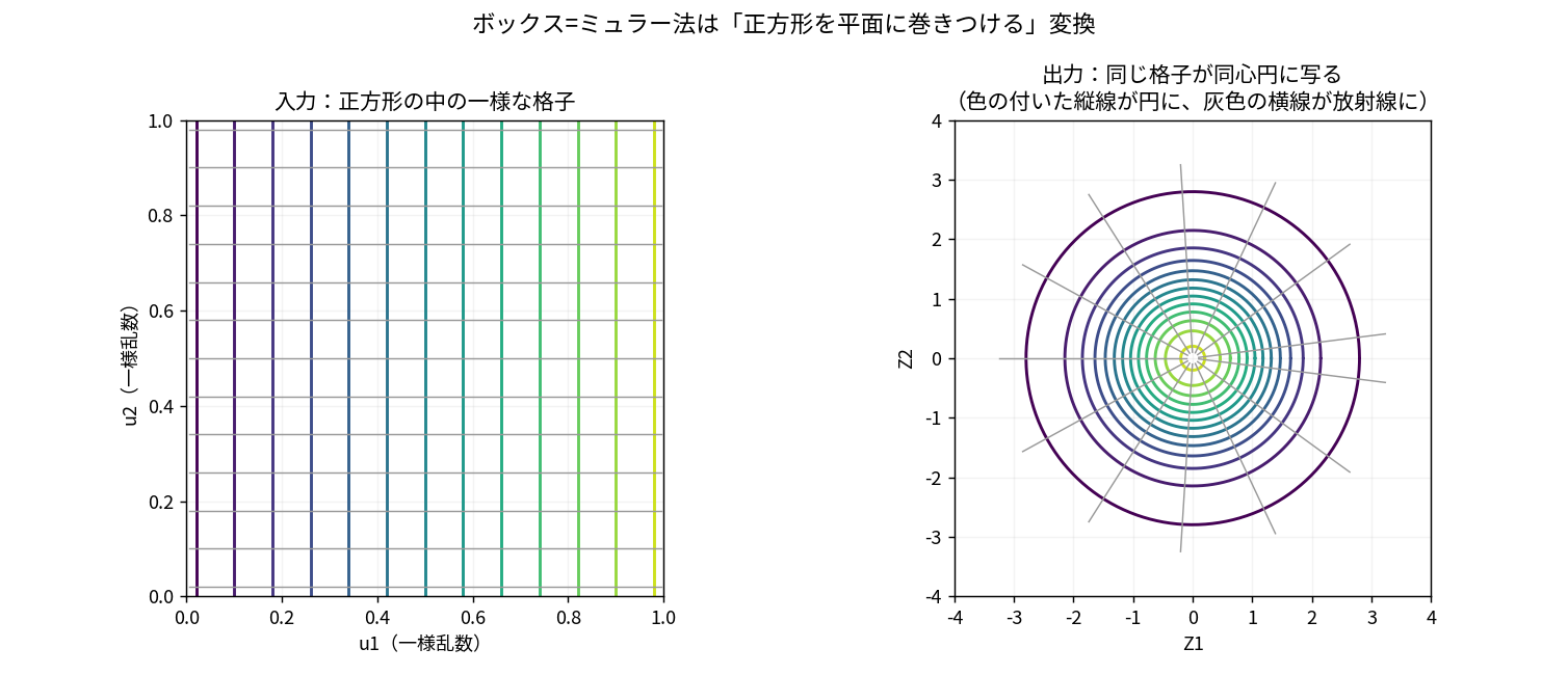 左右2パネルの図。左は単位正方形の中に描かれた格子で、13本の色つきの縦線(u1が一定)と13本の灰色の横線(u2が一定)が引かれている。右はその格子をボックス=ミュラー法で写した結果で、色つきの縦線が同心円に、灰色の横線が原点から放射状に伸びる直線になっている。u1が小さいほど大きな円に対応している