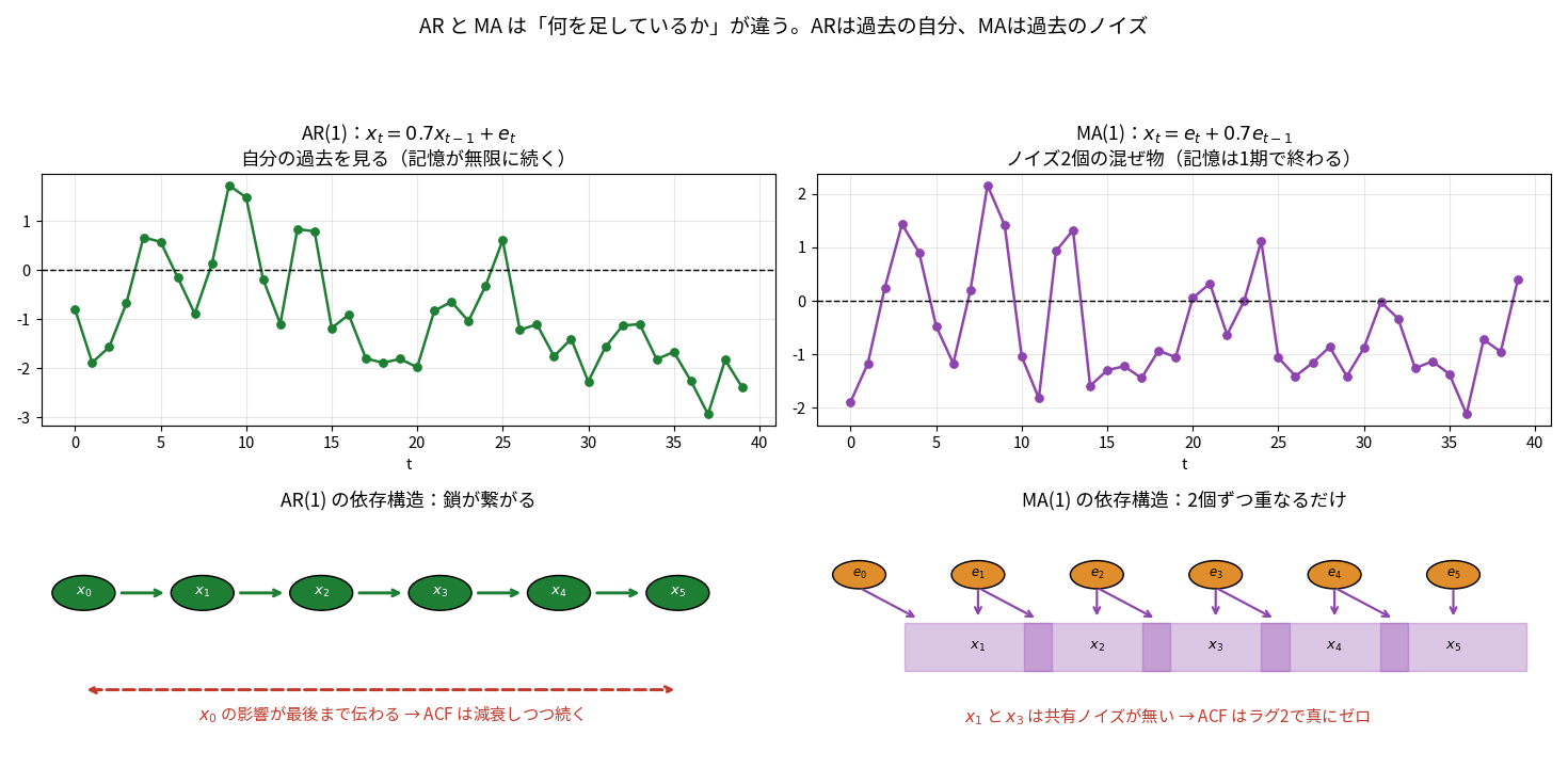 上段:AR(1)とMA(1)の時系列。下段:ARは丸が矢印で鎖状に繋がる図、MAはノイズの丸から箱へ2本ずつ矢印が入り隣の箱同士だけが重なる図